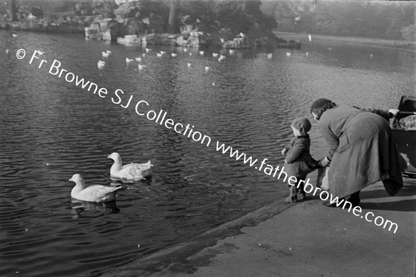 ST STEPHEN'S GREEN FEEDING DUCKS